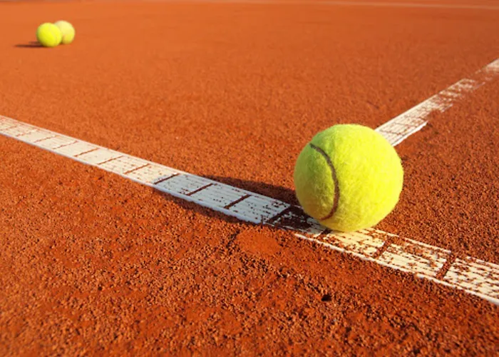 Village Club Mileade La Palmyre 4*