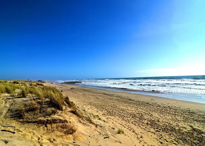 Village Club Mileade La Palmyre 4*